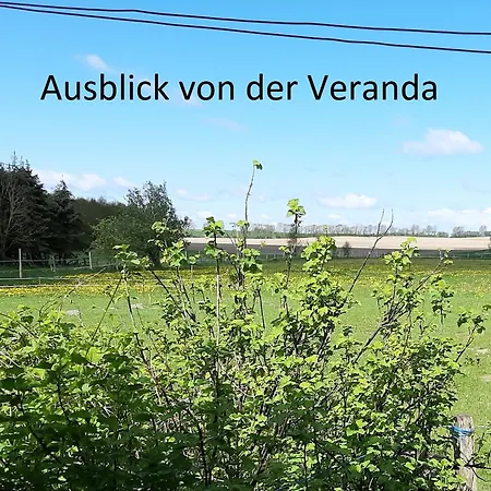 Blockhaus Questin Steht Fuer Ruhe Und Erholung *