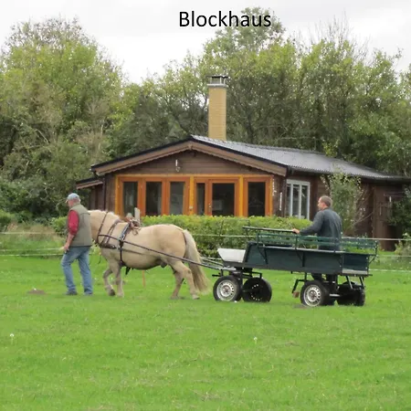 Blockhaus Questin Steht Fuer Ruhe Und Erholung Dom wakacyjny Alt Bukow